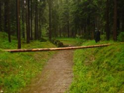 2013-06-02_Regina-F-Rau_Geretsrieder-Stadtbach_Isar (13).JPG